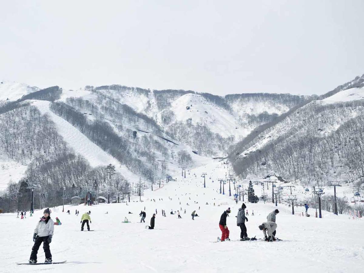 Hakuba Park Hotel ภายนอก รูปภาพ